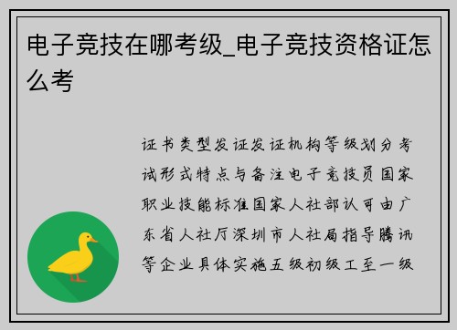 电子竞技在哪考级_电子竞技资格证怎么考